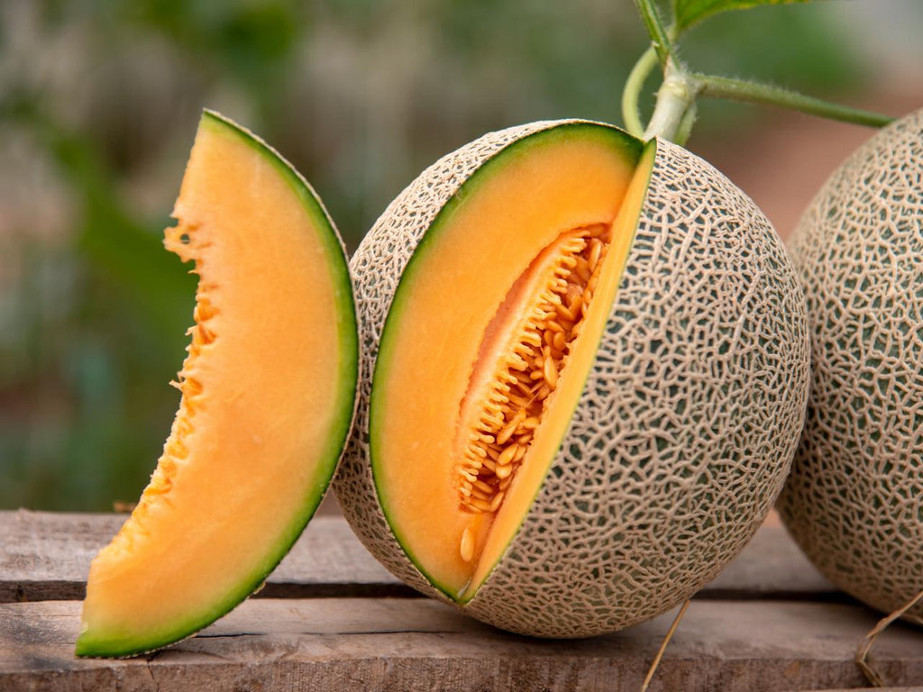 Fruit