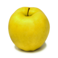 Golden Delicious Apple