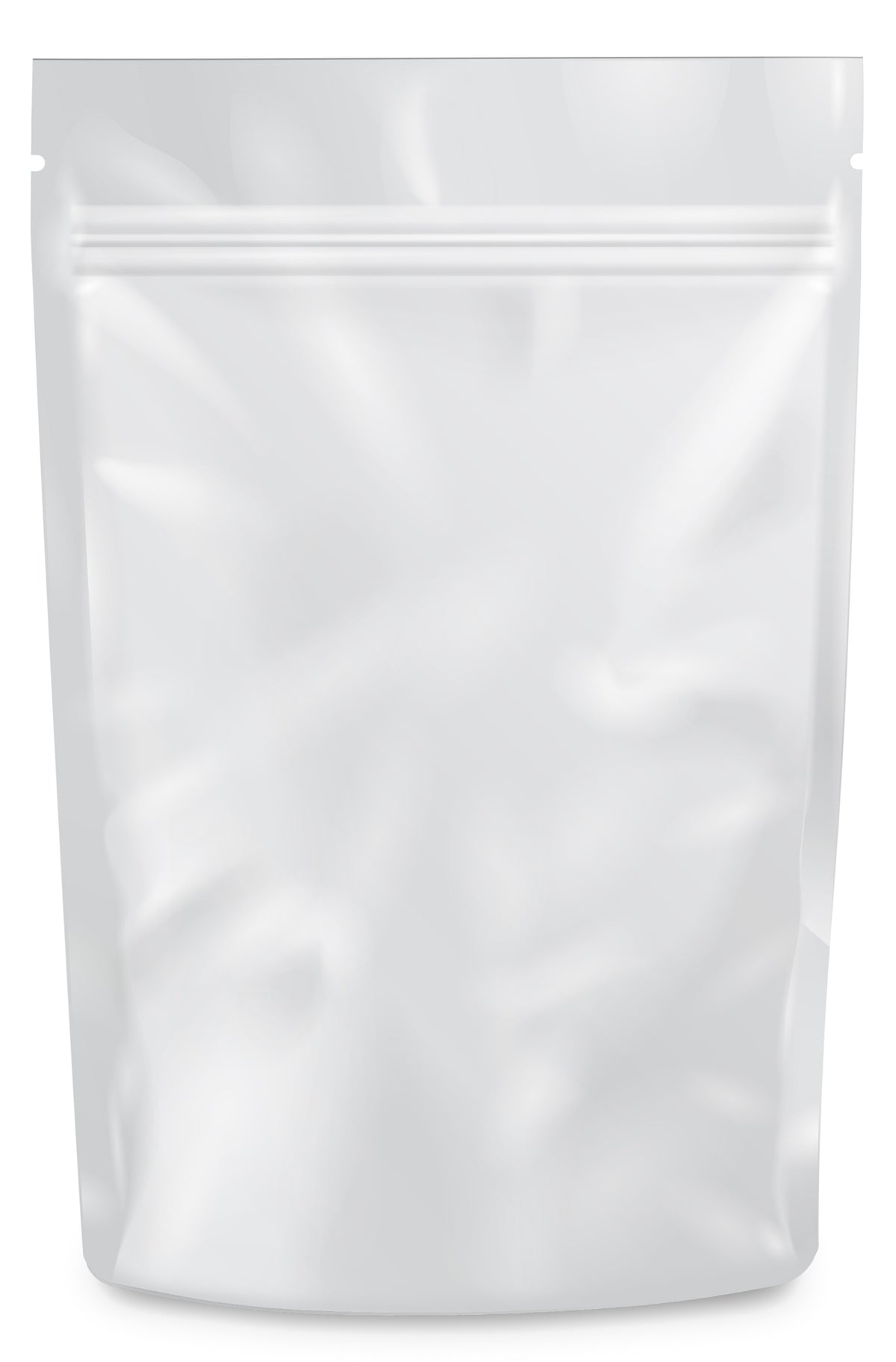 Mylar Bag