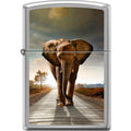 Zippo Lighter - Elephant Zippo Zippo   