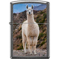 Zippo Lighter - Llama Zippo Zippo   