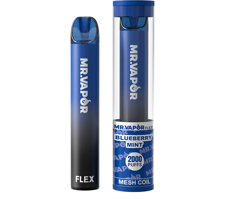 Mr. Vapor Flex - Disposable Vape Vape Juice Mr. Vapor Blueberry Mint  