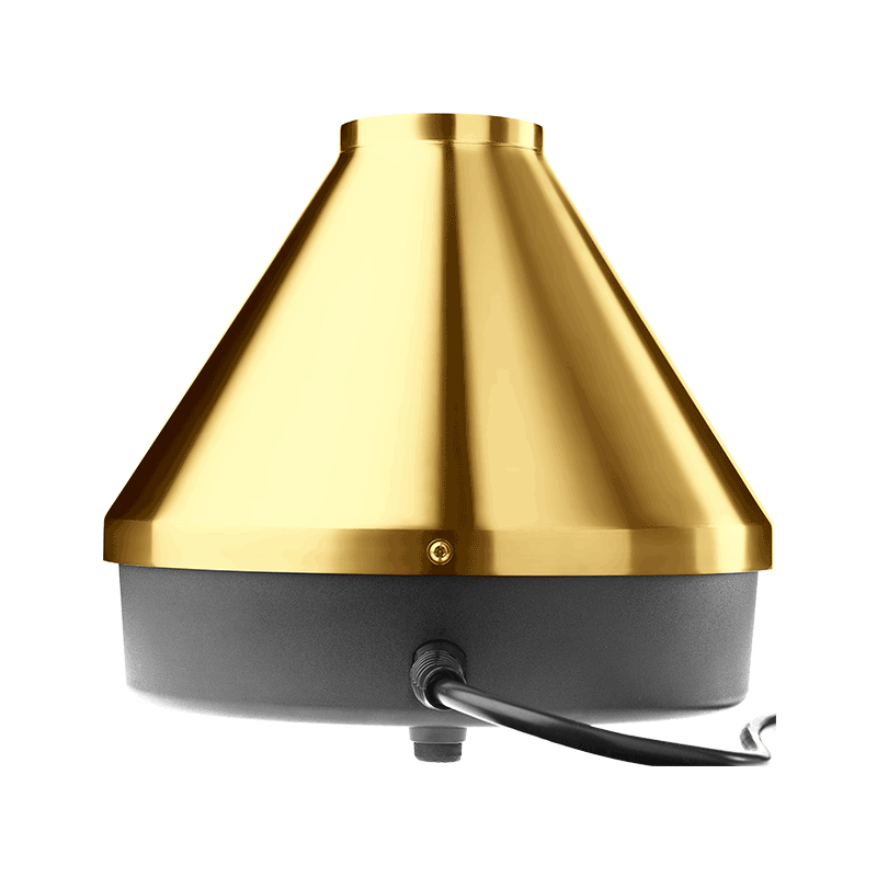 _show_if_variant:Gold Edition (20 Year Anniversary)