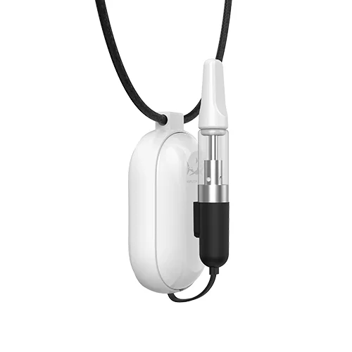 Gamer Battery by Hamilton Devices  Lighter USA   